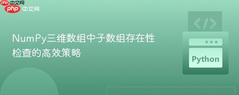 numpy三维数组中子数组存在性检查的高效策略