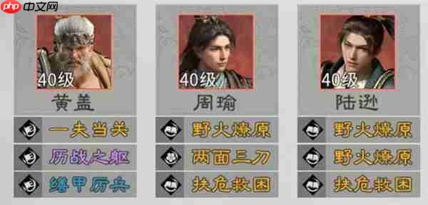 三国天下归心火烧陆逊队玩法攻略