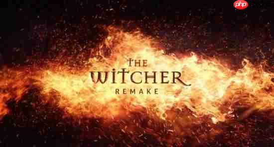 CDPR庆祝《巫师》发售18年!重制版正在开发中