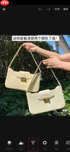 《fotor照片编辑器》添加文字方法