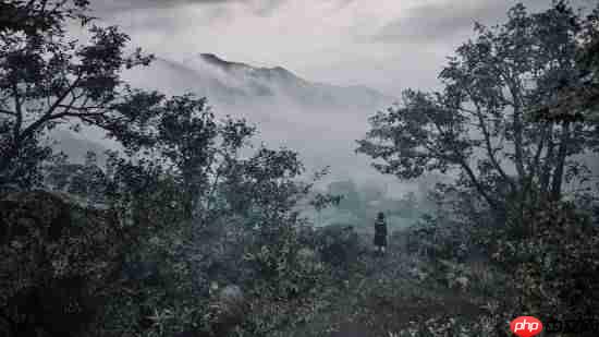 《寂静岭f》玩家游戏摄影分享