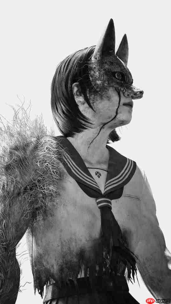 《寂静岭f》玩家游戏摄影分享