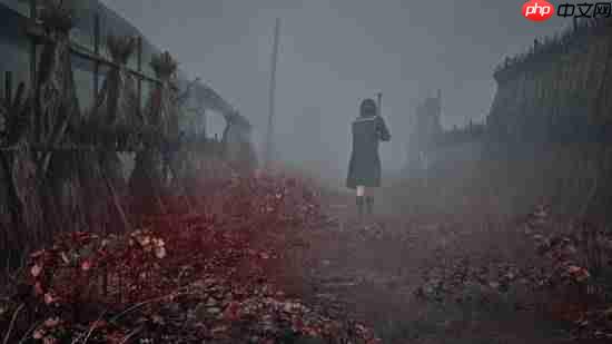 《寂静岭f》玩家游戏摄影分享