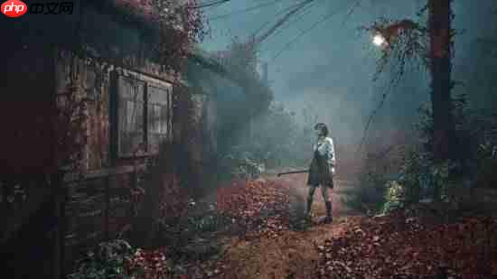 《寂静岭f》玩家游戏摄影分享