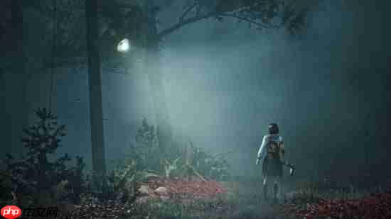 《寂静岭f》玩家游戏摄影分享