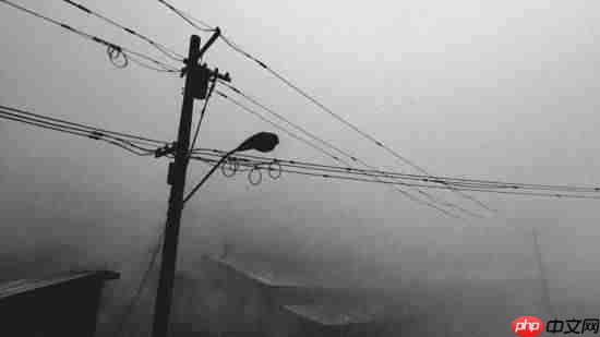 《寂静岭f》玩家游戏摄影分享