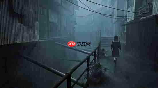 《寂静岭f》玩家游戏摄影分享