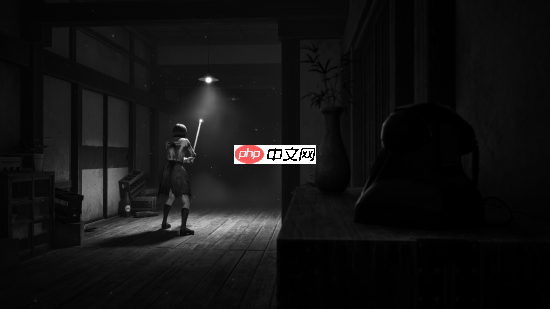 《寂静岭f》玩家游戏摄影分享