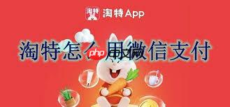 淘特app怎么用微信支付