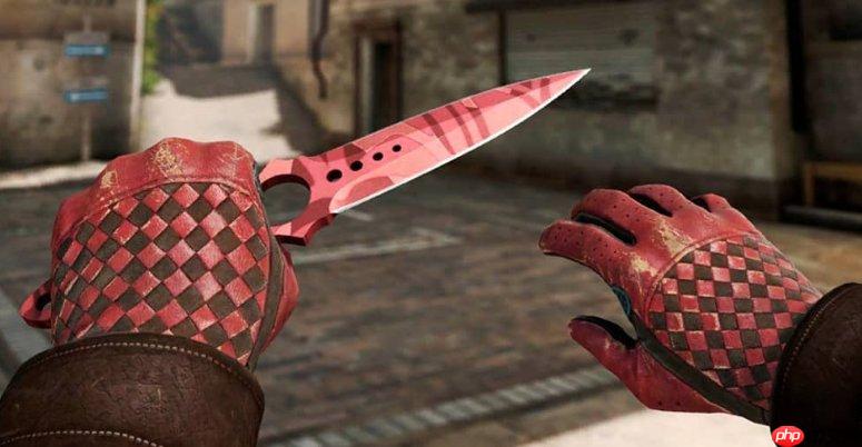 CS2玩家库存暴跌怒告V社 向美国证监会举报寻求维权