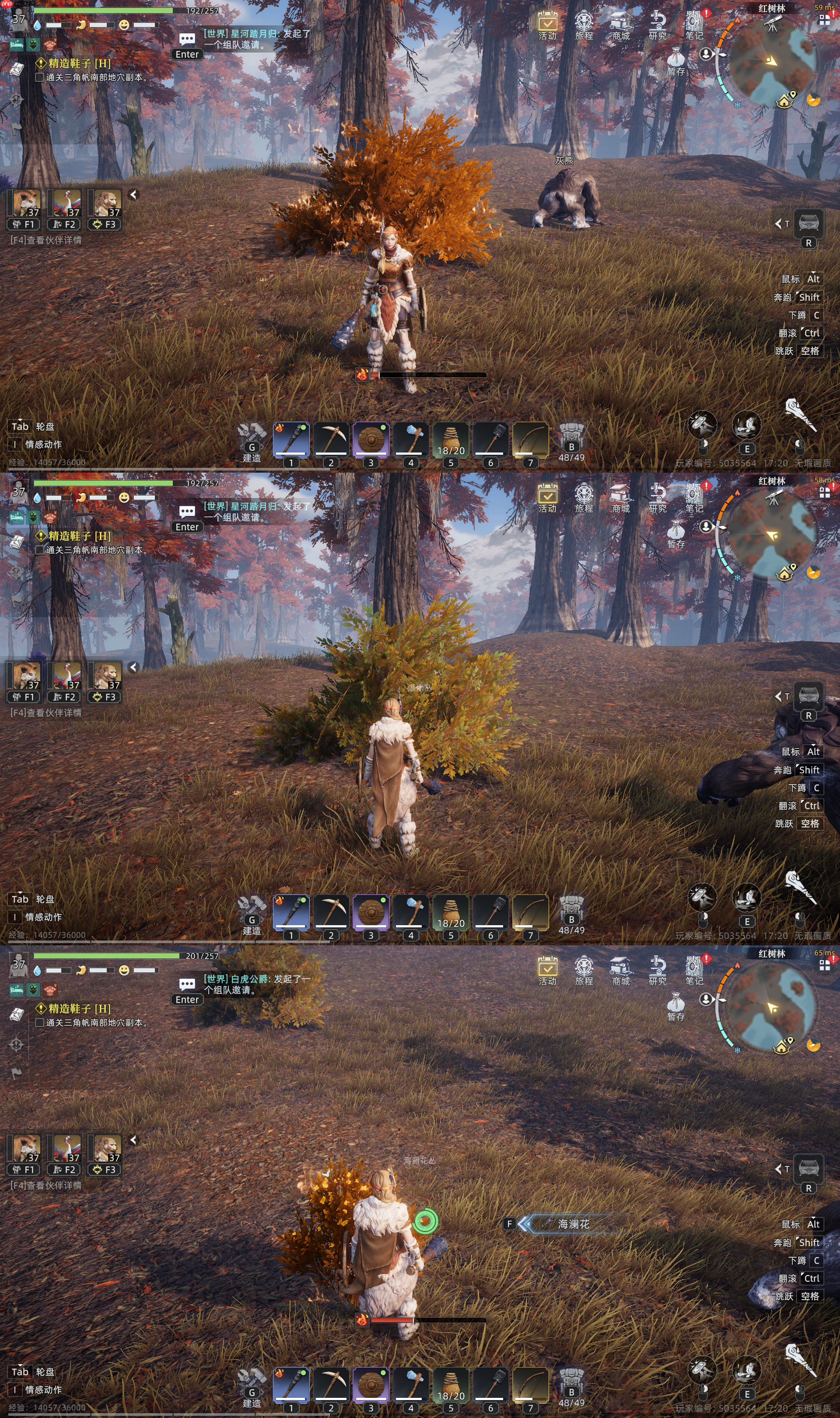 荒原曙光草木灰与土壤搭配思路