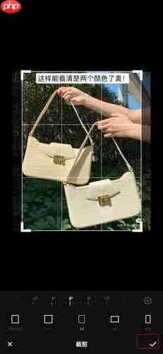 《fotor照片编辑器》裁剪图片方法