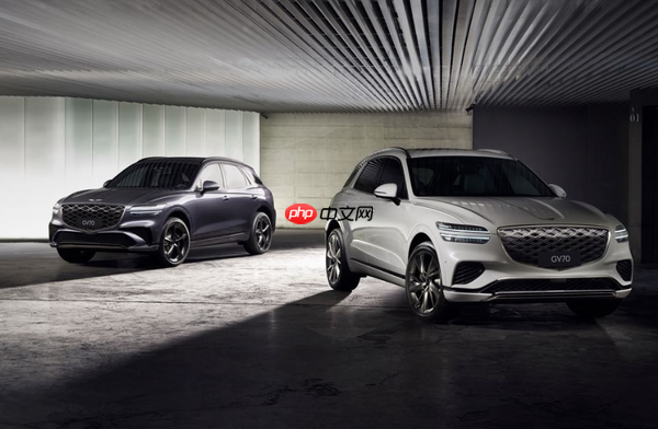 韩国汽车市场现状:特斯拉暴涨573% 捷尼赛思下跌