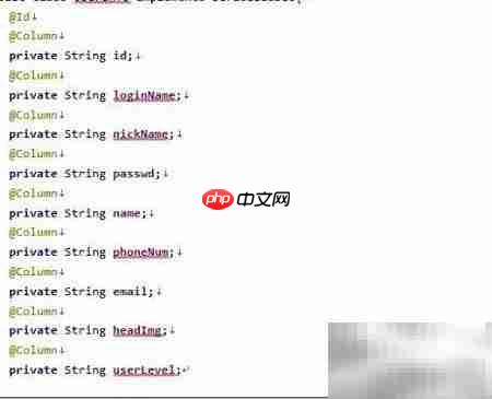 通用Mapper使用指南