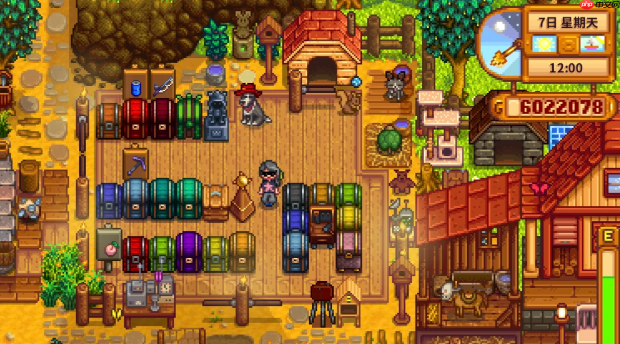 《星露谷物语》物品整理分区技巧