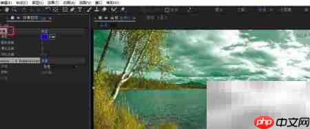 用AE设置Rey Cleaner功能