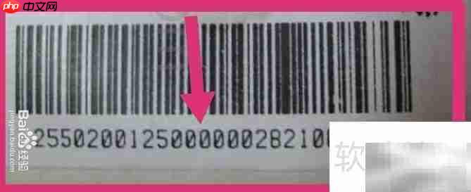 如何识别邮政总包条码中的总包号