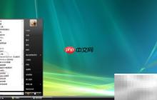 Vista设置全用户更新安装