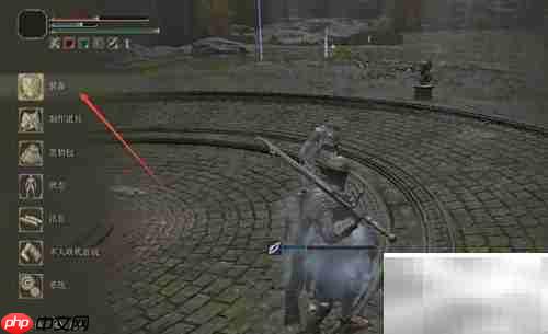 老头环灵巧属性加点攻略