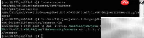 CAS服务器部署指南