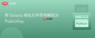 将 Solana 地址从字符串解码为 PublicKey