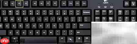 剑灵服装库开启与管理指南