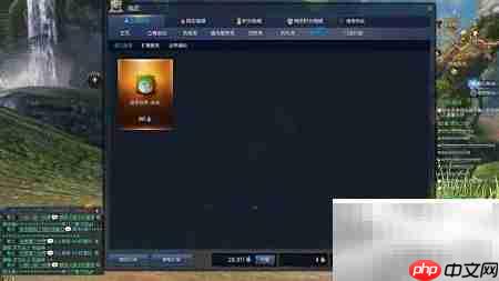 剑灵服装库开启与管理指南