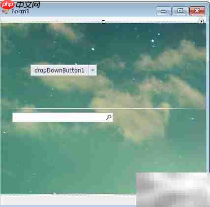 Dev SeparatorControl属性解析