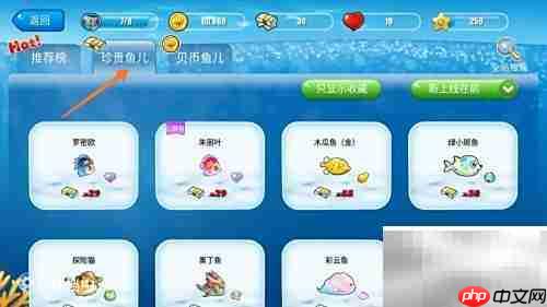 开心水族箱清雅绿斑海兔购买攻略