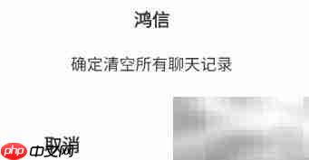 鸿信清空聊天记录方法