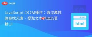 JavaScript DOM操作：通过属性值查找元素、提取文本并动态更新UI