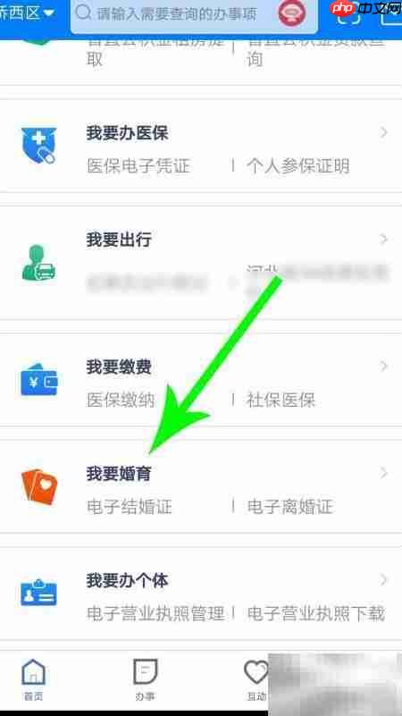 河北出生证明查询指南