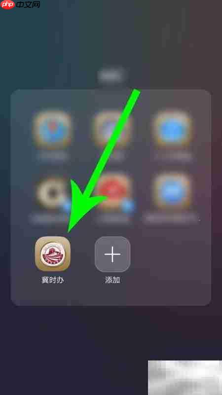 河北出生证明查询指南