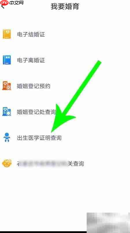 河北出生证明查询指南