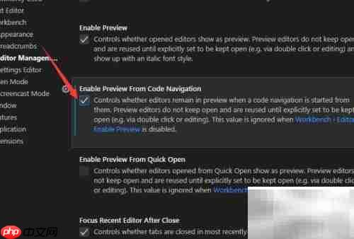 VS Code代码导航预览设置
