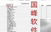 国峰预算管理实用指南