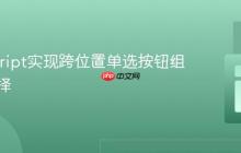 JavaScript实现跨位置单选按钮组同步选择