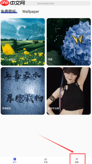 《彩虹主题壁纸》开通会员方法