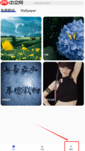《彩虹主题壁纸》开通会员方法