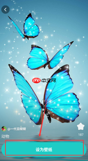 《青藤壁纸》设置壁纸方法