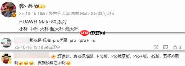 曝华为 Mate 80 系列将推 5 款新机 含优享版 11 月底发布?