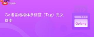 Go语言结构体多标签（Tag）定义指南
