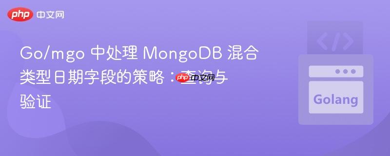 Go/mgo 中处理 MongoDB 混合类型日期字段的策略:查询与验证