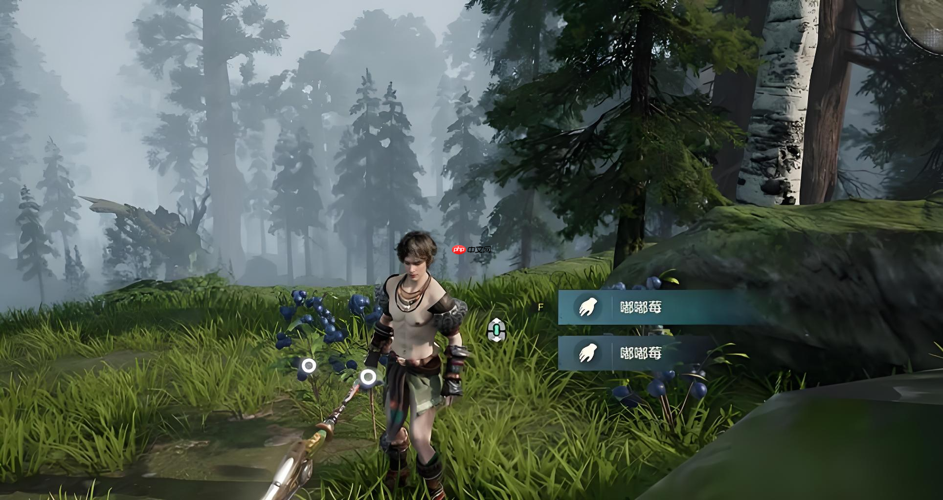 《荒野起源》森林地图位置一览