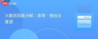 大数质因数分解：原理、挑战与展望
