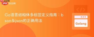 Go语言结构体多标签定义指南：bson与json的正确用法
