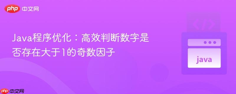 Java程序优化：高效判断数字是否存在大于1的奇数因子
