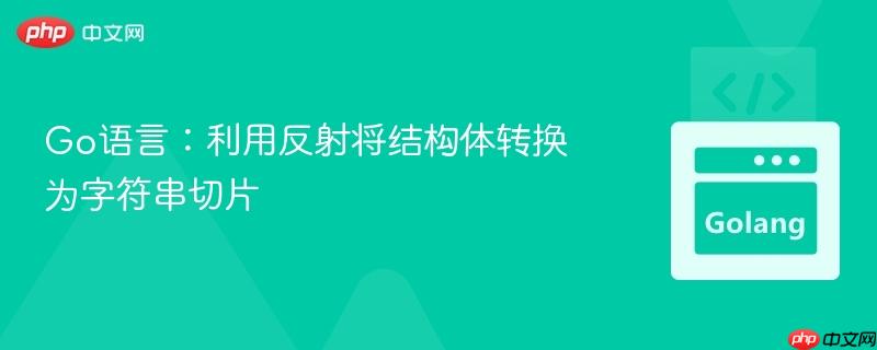 Go语言:利用反射将结构体转换为字符串切片