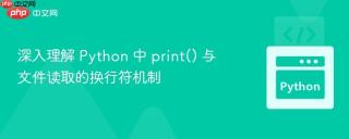 深入理解 Python 中 print() 与文件读取的换行符机制