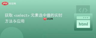 获取  元素选中值的实时方法与应用